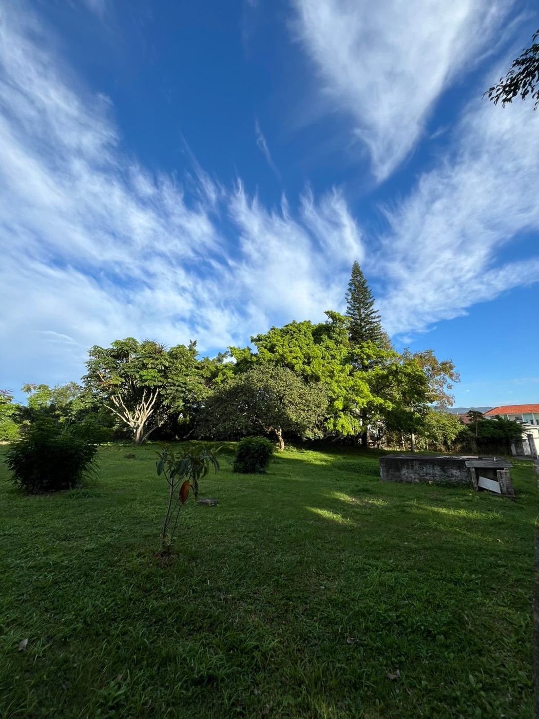 Jardim do Residencial Sagrada Família com gramado amplo e árvores grandes, em São José, perto de Florianópolis